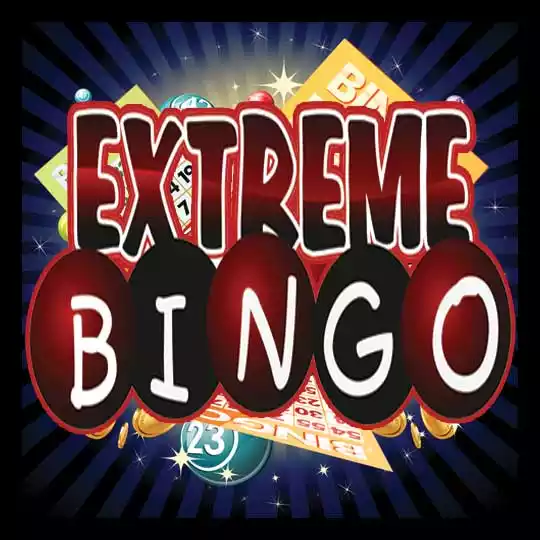 Novelty entertainment extreme bingo